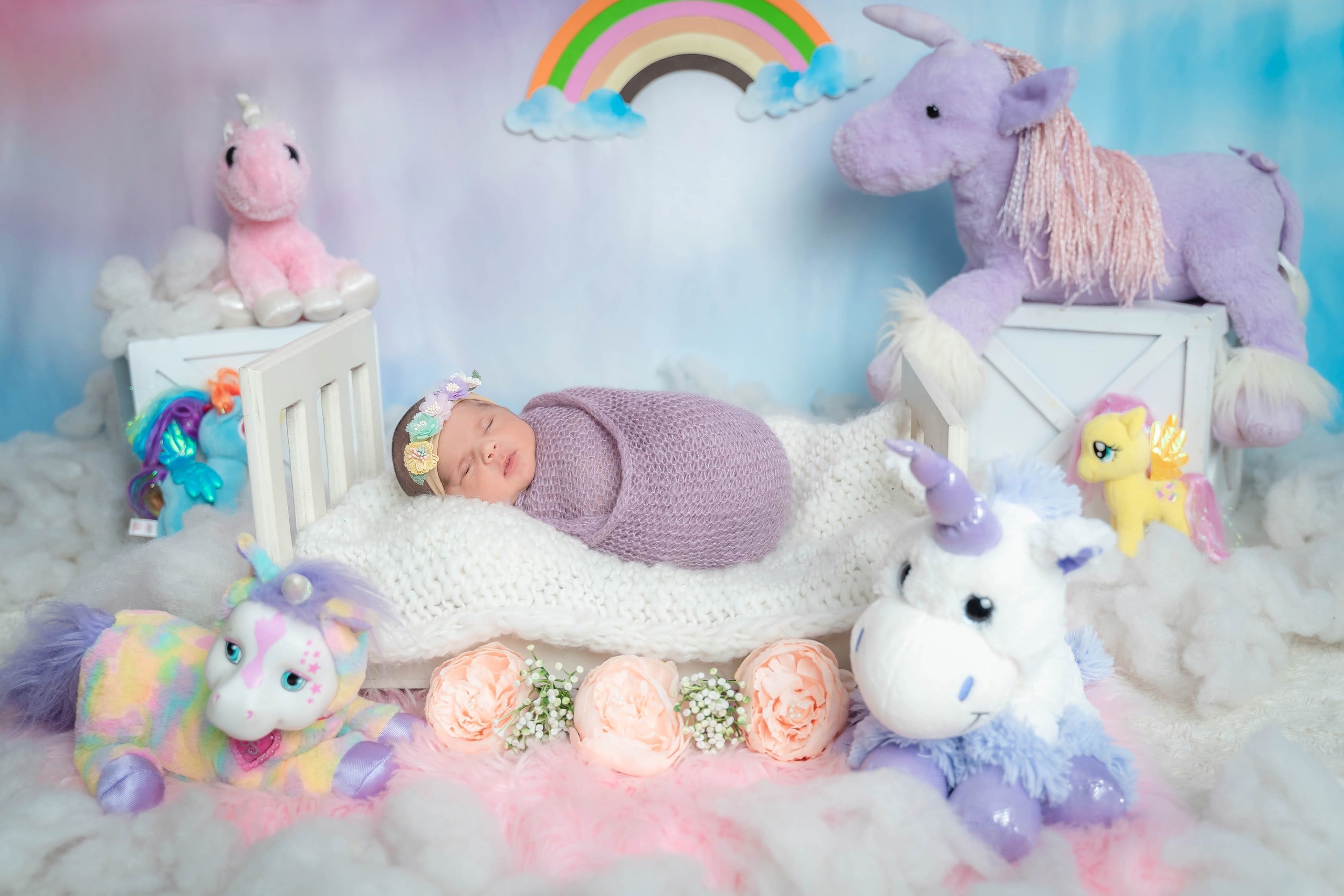 DSC00563_resized-min