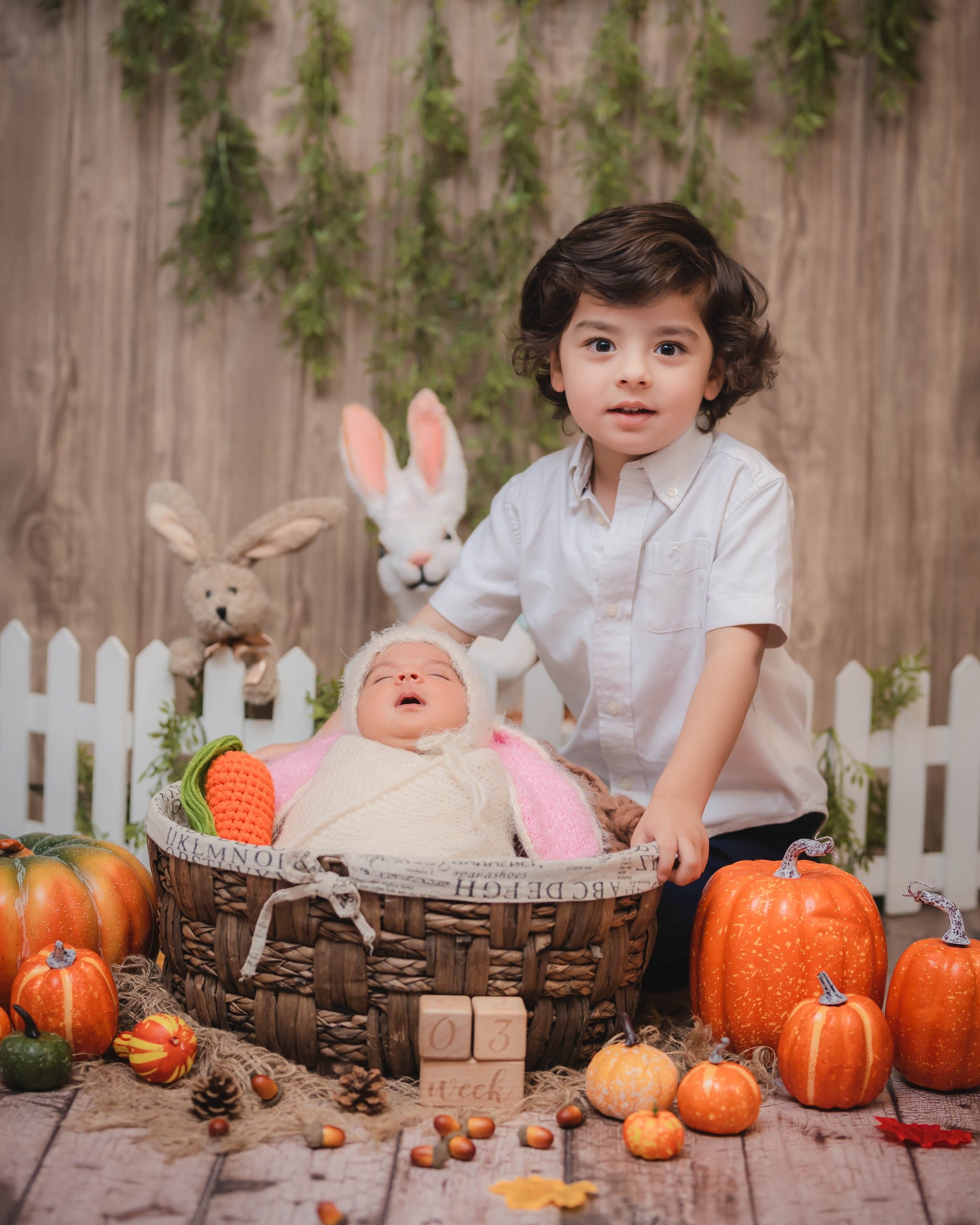 SAQ00282-2_resized-min